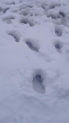 e0206490_22252263.jpg