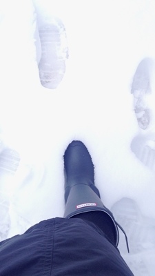 e0206490_22282370.jpg