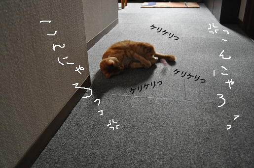a0153395_35156.jpg