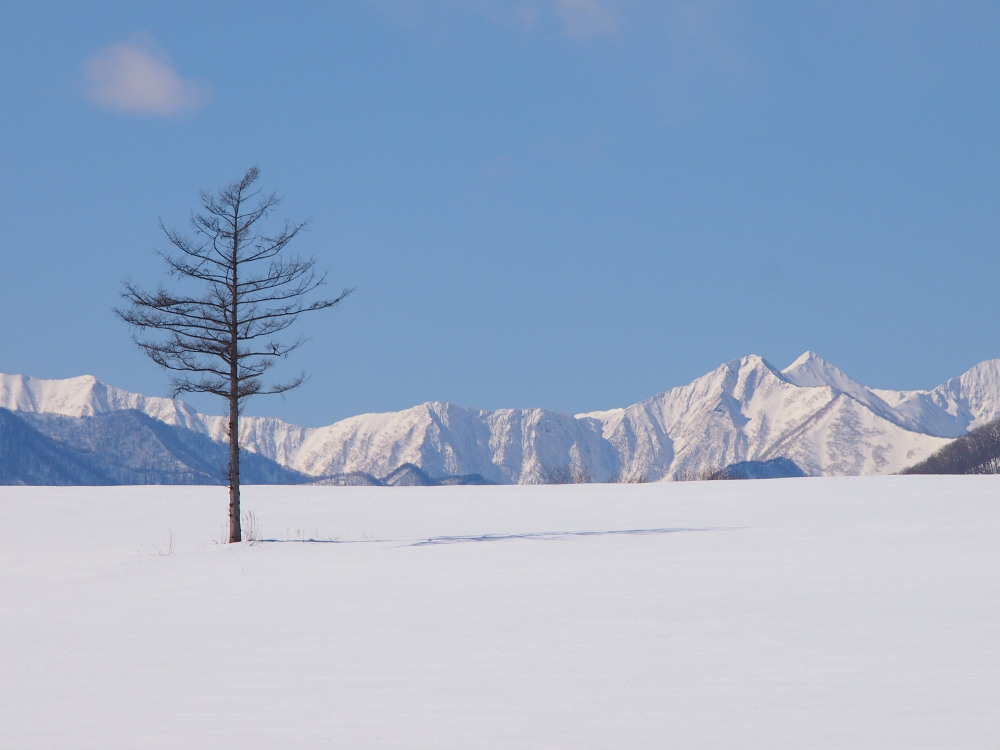 ２月の中札内村‥日高山脈のある風景_f0276498_15501423.jpg