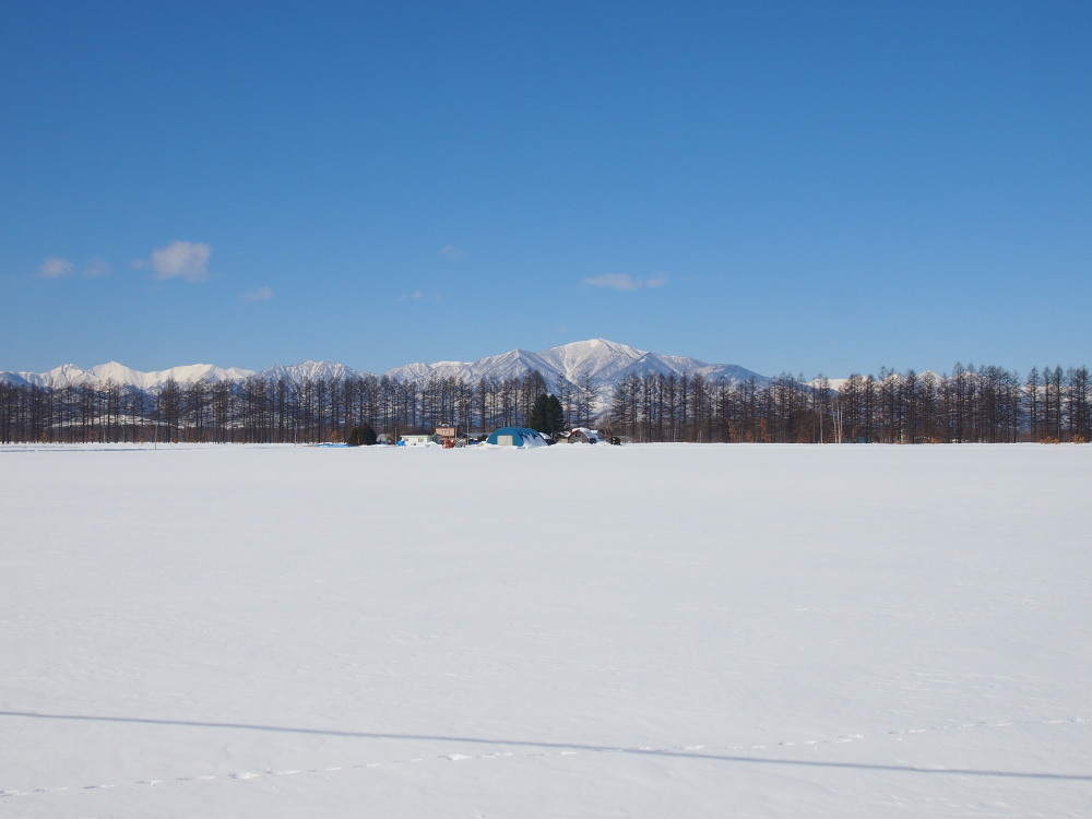 ２月の中札内村‥日高山脈のある風景_f0276498_15513345.jpg