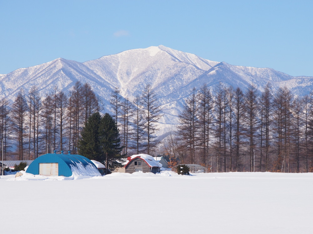2月の中札内村‥日高山脈のある風景_f0276498_15524188.jpg