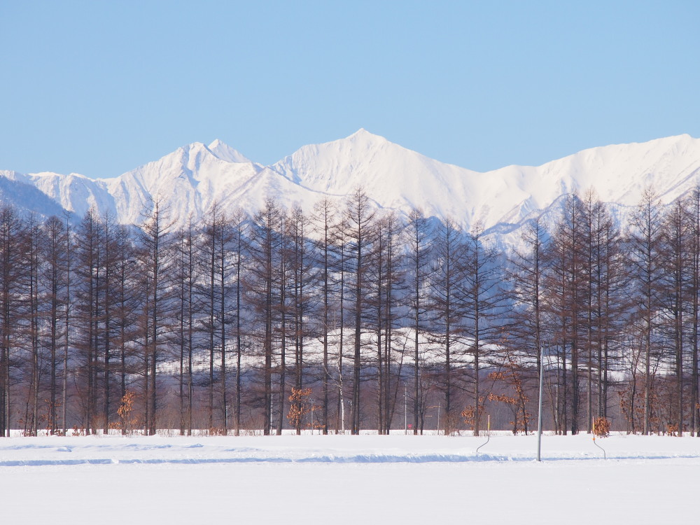 2月の中札内村‥日高山脈のある風景_f0276498_15554518.jpg