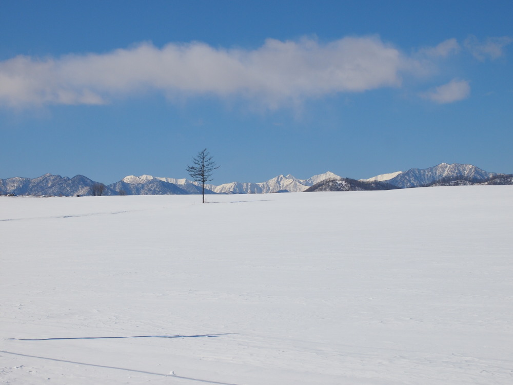 2月の中札内村‥日高山脈のある風景_f0276498_16003978.jpg
