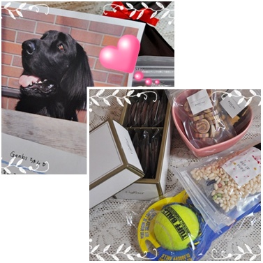 ♪♪ い～ぬは・・・_f0176499_056287.jpg