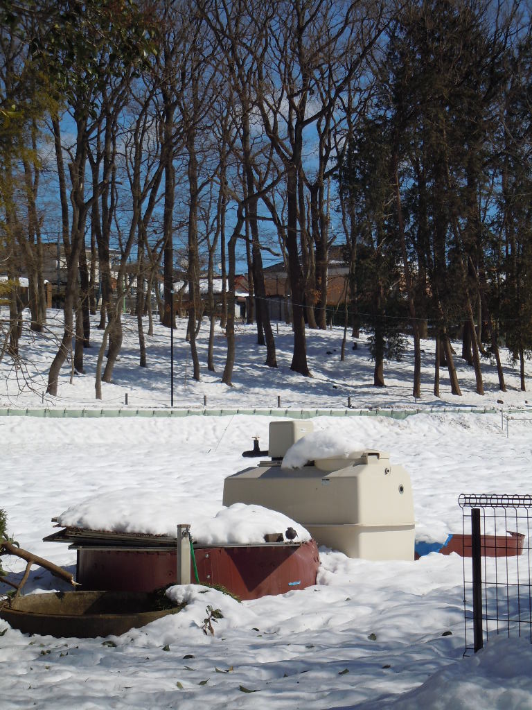 大雪でした。_c0111507_20302048.jpg