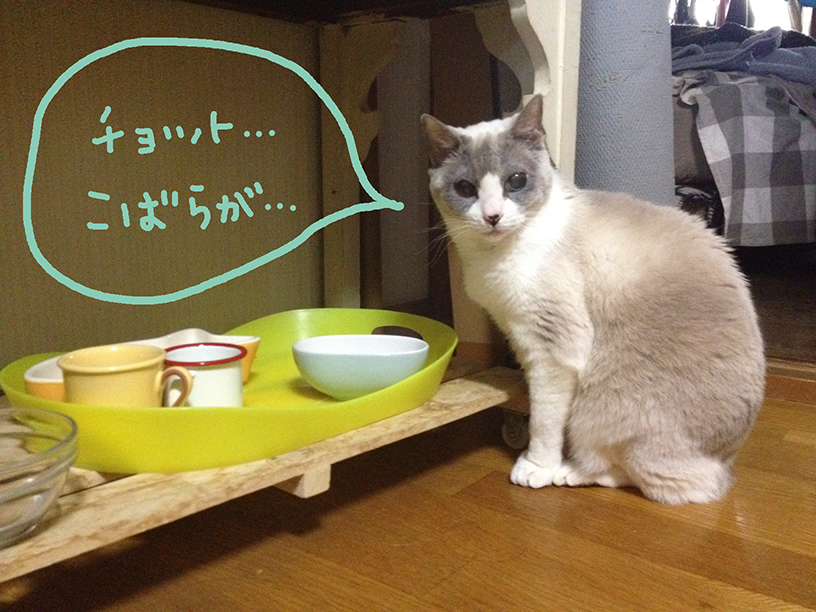 空からゴハン_e0239908_16403584.jpg