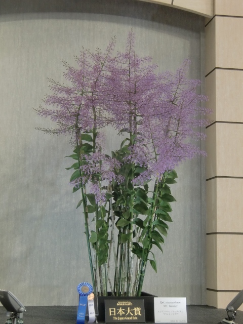 f0231709_22161646.jpg