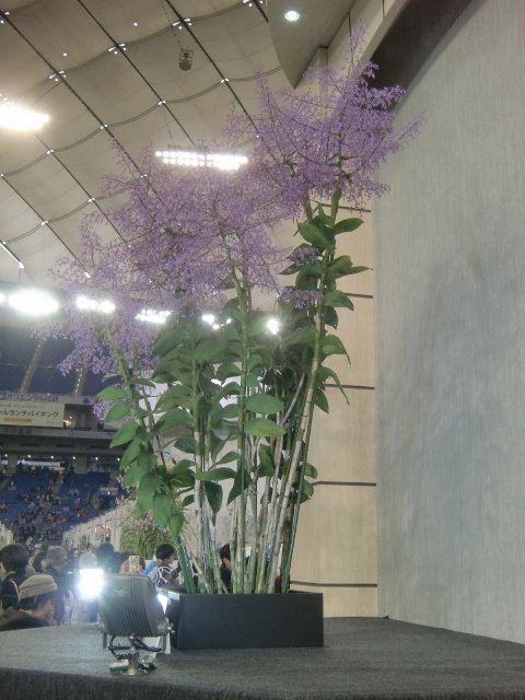 f0231709_2229172.jpg