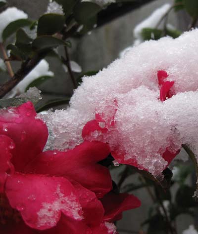 またもや、雪の週末・・・！_a0164011_21294541.jpg