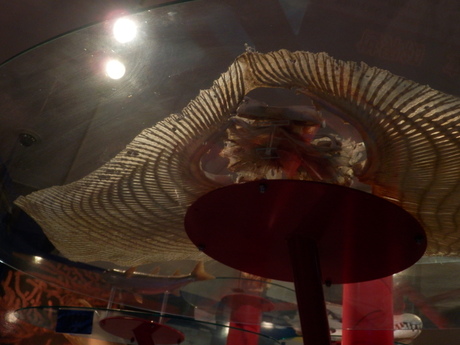 c0062511_22103952.jpg