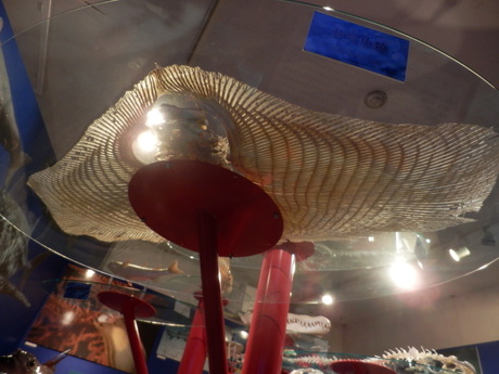 c0062511_22152240.jpg