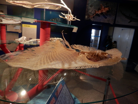 c0062511_22195958.jpg