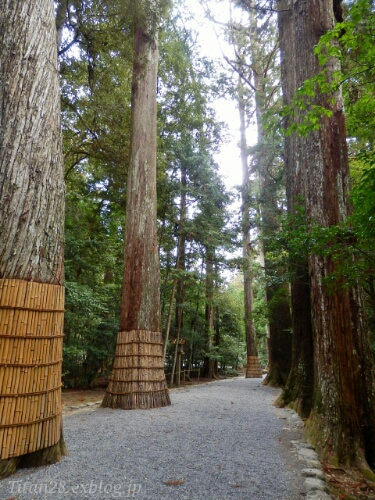 b0099813_028052.jpg