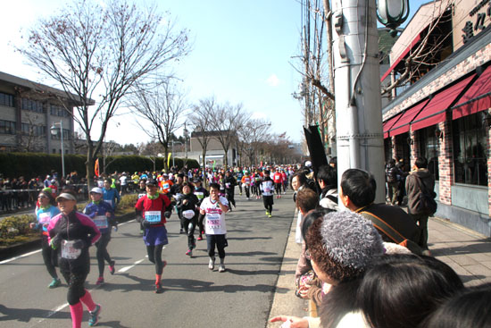 京都マラソン_e0048413_20422273.jpg