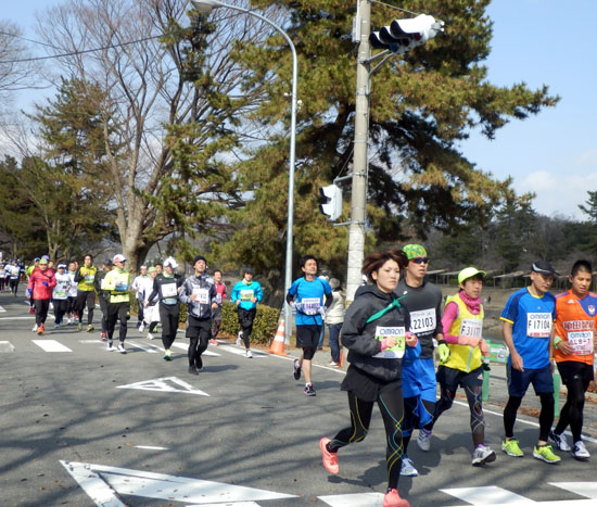 京都マラソン_e0048413_20425484.jpg