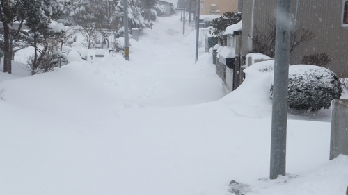 吹雪の釧路と吹き溜りのジーちゃんの家を救え＊_b0300818_2123326.jpg