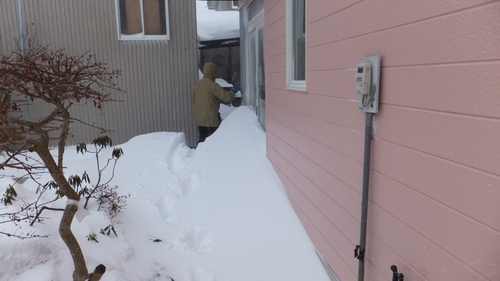 吹雪の釧路と吹き溜りのジーちゃんの家を救え＊_b0300818_21283869.jpg