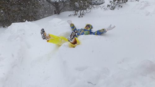 吹雪の釧路と吹き溜りのジーちゃんの家を救え＊_b0300818_2142212.jpg