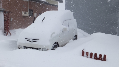 吹雪の釧路と吹き溜りのジーちゃんの家を救え＊_b0300818_21524282.jpg