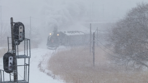 吹雪の釧路と吹き溜りのジーちゃんの家を救え＊_b0300818_215261.jpg