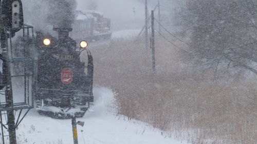 吹雪の釧路と吹き溜りのジーちゃんの家を救え＊_b0300818_2155881.jpg