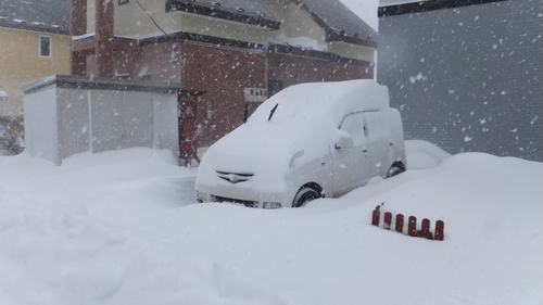 吹雪の釧路と吹き溜りのジーちゃんの家を救え＊_b0300818_21562220.jpg