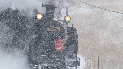 吹雪の釧路と吹き溜りのジーちゃんの家を救え＊_b0300818_2162814.jpg