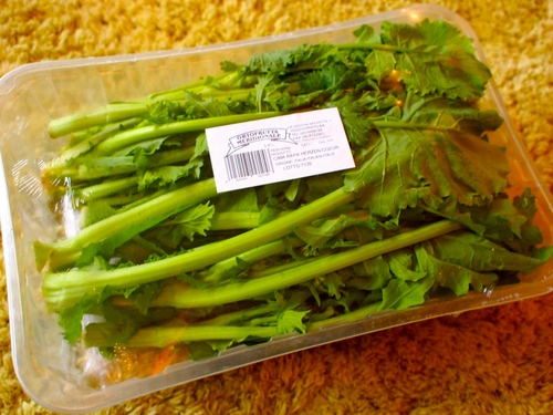 Cima di Rapa_b0245520_18485070.jpg