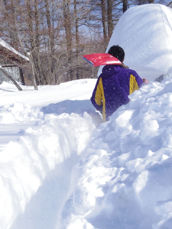 雪遊び_b0174425_126046.jpg