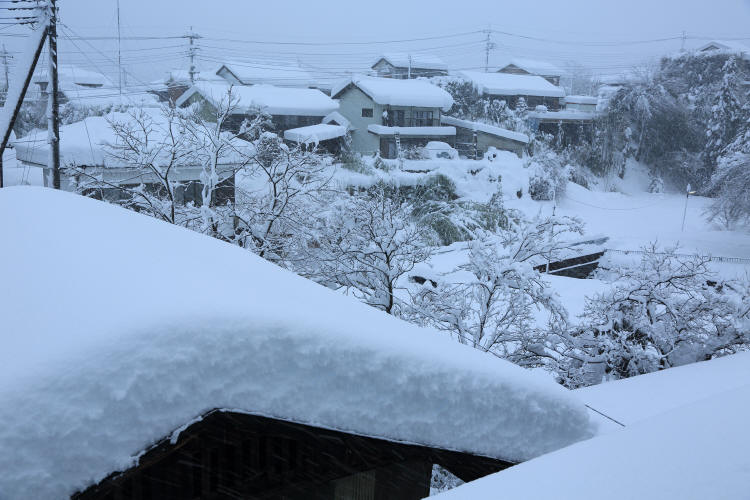 大雪の日に　_f0017530_20593514.jpg