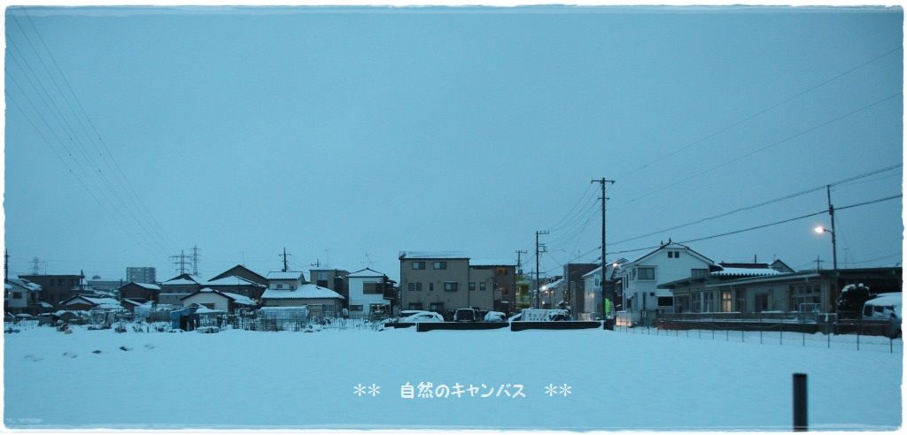 e0052135_145939.jpg