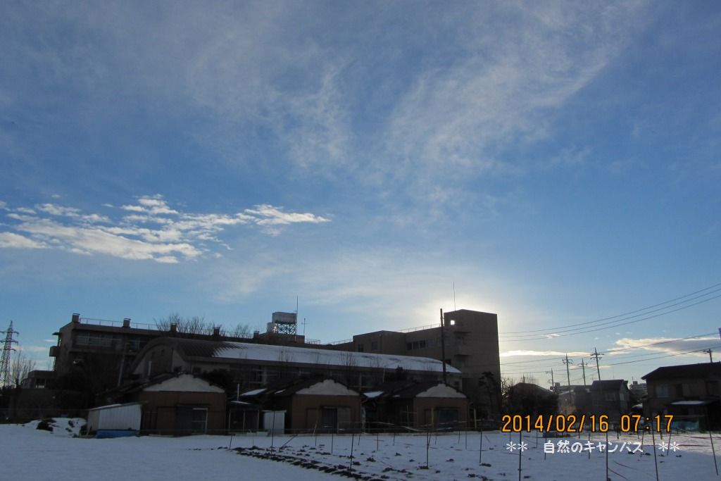 e0052135_17532891.jpg