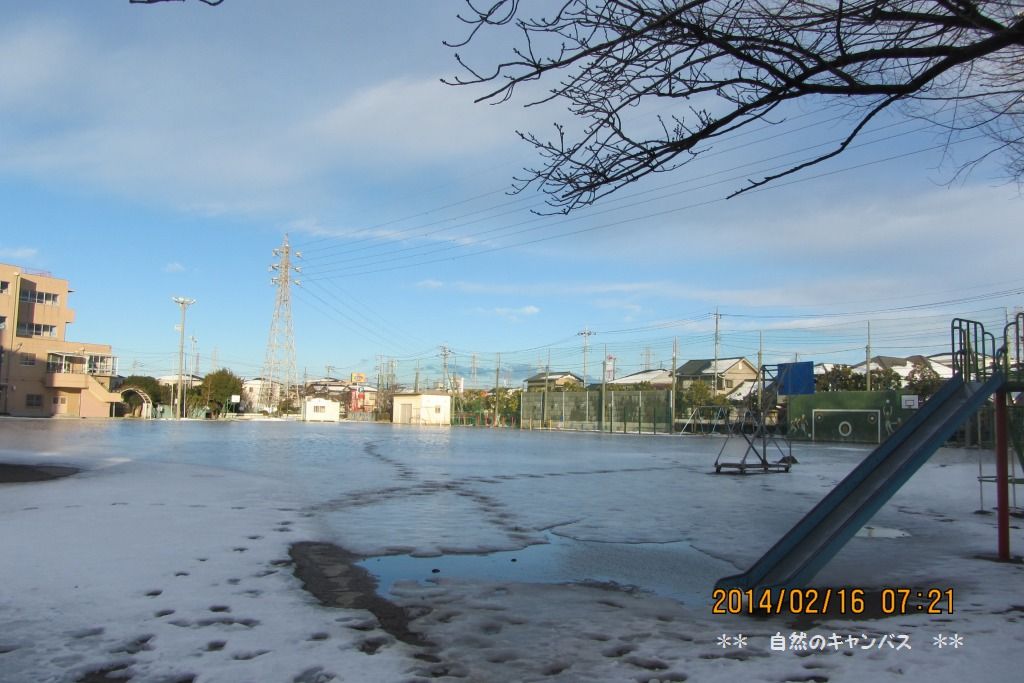e0052135_17541265.jpg