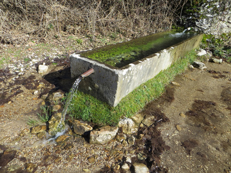 頂を目指す山路にクロッカス_f0234936_832964.jpg