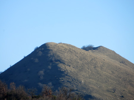 頂を目指す山路にクロッカス_f0234936_8343813.jpg