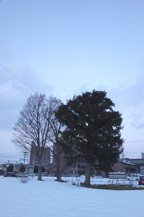b0169238_20484688.jpg