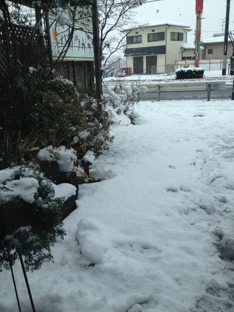 f0177841_9594311.jpg