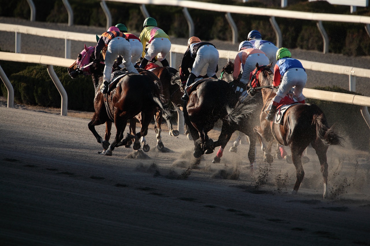 RACE SCENE 55_d0148946_19472436.jpg