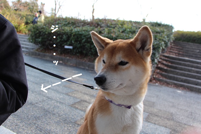 f0245650_01001152.jpg