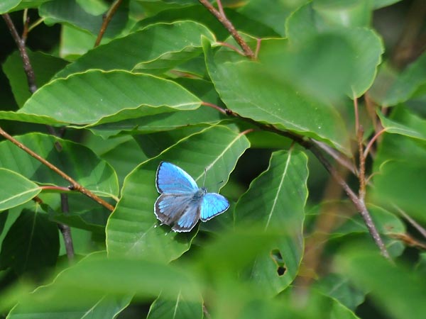 c0045352_13401738.jpg