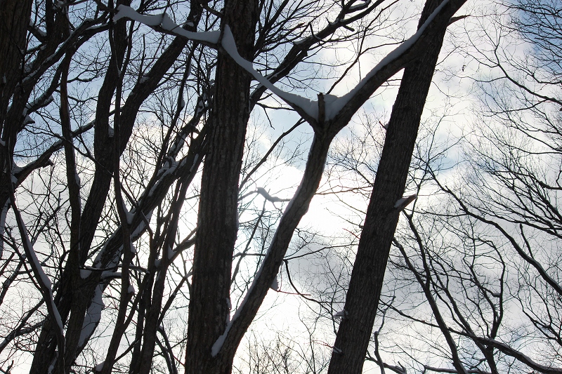 b0250154_20141360.jpg
