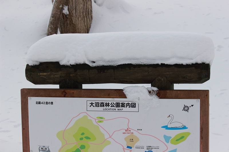 b0250154_2017227.jpg