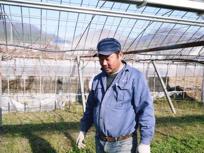 熊本ぶどう 社方園 芽キズ作業を終えたら、いよいよぶどうの果樹を目覚ませます_a0254656_1650013.jpg