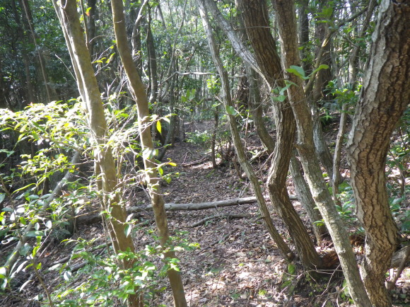 b0228959_16485546.jpg