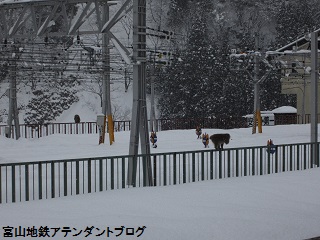 宇奈月温泉駅で、遭遇したのは・・・_a0243562_1684931.jpg