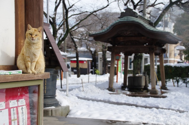 早くも雪のない景色が見たくなった。。。_f0129062_20244975.jpg