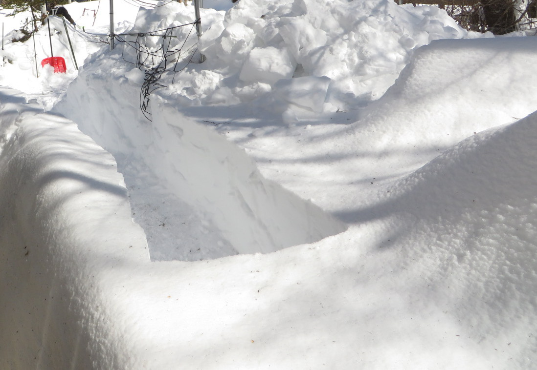 除雪機掘り出し_b0307263_236197.jpg