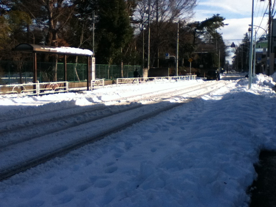 多摩地域はバスの運休が続きよります。_f0291565_10194556.jpg