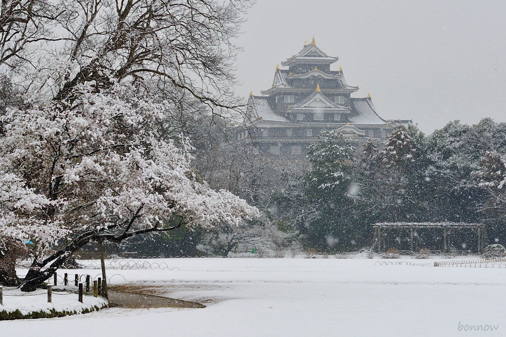 先週もだけど今週も・・・雪_d0164566_3155728.jpg